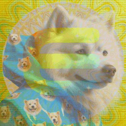 Samoyed in a kaleidoscope